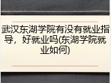 武汉东湖学院有没有就业指导，好就业吗(东湖学院就业如何)