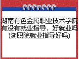 湖南有色金属职业技术学院有没有就业指导，好就业吗(湖职院就业指导好吗)