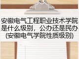 安徽电气工程职业技术学院是什么级别，公办还是民办(安徽电气学院性质级别)