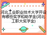河北工业职业技术大学开设有哪些奖学和助学金(河北工职大奖学金)