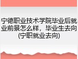宁德职业技术学院毕业后就业前景怎么样，毕业生去向(宁职就业去向)