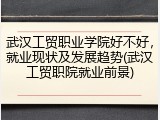 武汉工贸职业学院好不好，就业现状及发展趋势(武汉工贸职院就业前景)