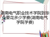 湖南电气职业技术学院到毕业要花多少学费(湖南电气学院学费)