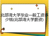 北部湾大学毕业一般工资多少钱(北部湾大学薪资)