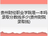贵州财经职业学院是一本吗录取分数线多少(贵州财院录取线)