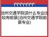 沧州交通学院读什么专业比较有前景(沧州交通学院前景专业)