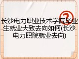 长沙电力职业技术学院毕业生就业大致去向如何(长沙电力职院就业去向)