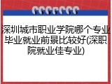 深圳城市职业学院哪个专业毕业就业前景比较好(深职院就业佳专业)