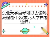 东北大学自考可以去读吗，流程是什么(东北大学自考流程)