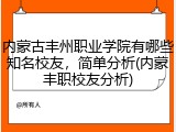内蒙古丰州职业学院有哪些知名校友，简单分析(内蒙丰职校友分析)