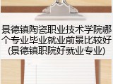 景德镇陶瓷职业技术学院哪个专业毕业就业前景比较好(景德镇职院好就业专业)