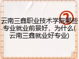 云南三鑫职业技术学院哪些专业就业前景好，为什么(云南三鑫就业好专业)