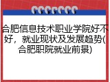 合肥信息技术职业学院好不好，就业现状及发展趋势(合肥职院就业前景)