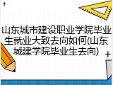 山东城市建设职业学院毕业生就业大致去向如何(山东城建学院毕业生去向)