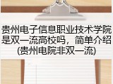 贵州电子信息职业技术学院是双一流高校吗，简单介绍(贵州电院非双一流)