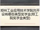 郑州工业应用技术学院共开设有哪些类型奖学金(郑工院奖学金类型)