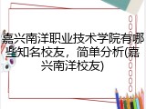 嘉兴南洋职业技术学院有哪些知名校友，简单分析(嘉兴南洋校友)