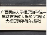 广西民族大学相思湖学院一年财政拨款大概多少钱(民大相思湖学院年拨款)