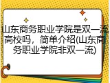山东商务职业学院是双一流高校吗，简单介绍(山东商务职业学院非双一流)