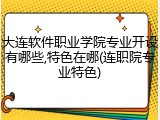 大连软件职业学院专业开设有哪些,特色在哪(连职院专业特色)