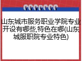 山东城市服务职业学院专业开设有哪些,特色在哪(山东城服职院专业特色)