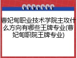 曹妃甸职业技术学院主攻什么方向有哪些王牌专业(曹妃甸职院王牌专业)