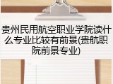 贵州民用航空职业学院读什么专业比较有前景(贵航职院前景专业)