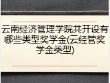 云南经济管理学院共开设有哪些类型奖学金(云经管奖学金类型)