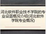 河北软件职业技术学院的专业设置概况介绍(河北软件学院专业概况)