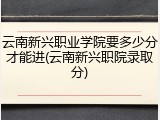 云南新兴职业学院要多少分才能进(云南新兴职院录取分)
