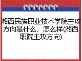 湘西民族职业技术学院主攻方向是什么，怎么样(湘西职院主攻方向)