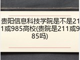 贵阳信息科技学院是不是211或985高校(贵院是211或985吗)