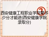 西安健康工程职业学院要多少分才能进(西安健康学院录取分)
