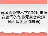 宣城职业技术学院如何申请在读间的创业无息贷款(宣城职院创业贷申请)
