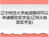 辽宁师范大学就读期间可以申请哪些奖学金(辽师大就读奖学金)