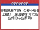 青岛滨海学院什么专业就业比较好，原因是啥(青滨就业好的专业原因)