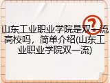 山东工业职业学院是双一流高校吗，简单介绍(山东工业职业学院双一流)