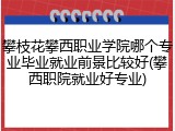 攀枝花攀西职业学院哪个专业毕业就业前景比较好(攀西职院就业好专业)
