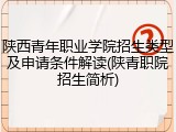 陕西青年职业学院招生类型及申请条件解读(陕青职院招生简析)