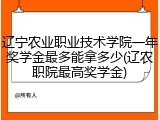 辽宁农业职业技术学院一年奖学金最多能拿多少(辽农职院最高奖学金)