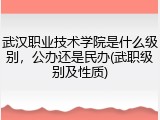 武汉职业技术学院是什么级别，公办还是民办(武职级别及性质)
