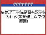 东莞理工学院是否有双学位，为什么(东莞理工双学位原因)