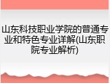 山东科技职业学院的普通专业和特色专业详解(山东职院专业解析)