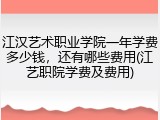 江汉艺术职业学院一年学费多少钱，还有哪些费用(江艺职院学费及费用)