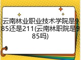 云南林业职业技术学院是985还是211(云南林职院是985吗)