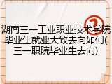 湖南三一工业职业技术学院毕业生就业大致去向如何(三一职院毕业生去向)