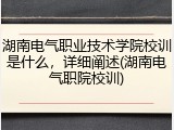 湖南电气职业技术学院校训是什么，详细阐述(湖南电气职院校训)