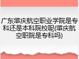 广东肇庆航空职业学院是专科还是本科院校呢(肇庆航空职院是专科吗)