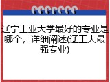 辽宁工业大学最好的专业是哪个，详细阐述(辽工大最强专业)