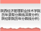 陕西经济管理职业技术学院历年录取分数线深度分析(陕经职院历年分数线分析)